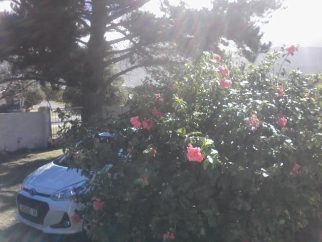 Self Catering Unit 7, Sandbaai Hermanus Εξωτερικό φωτογραφία