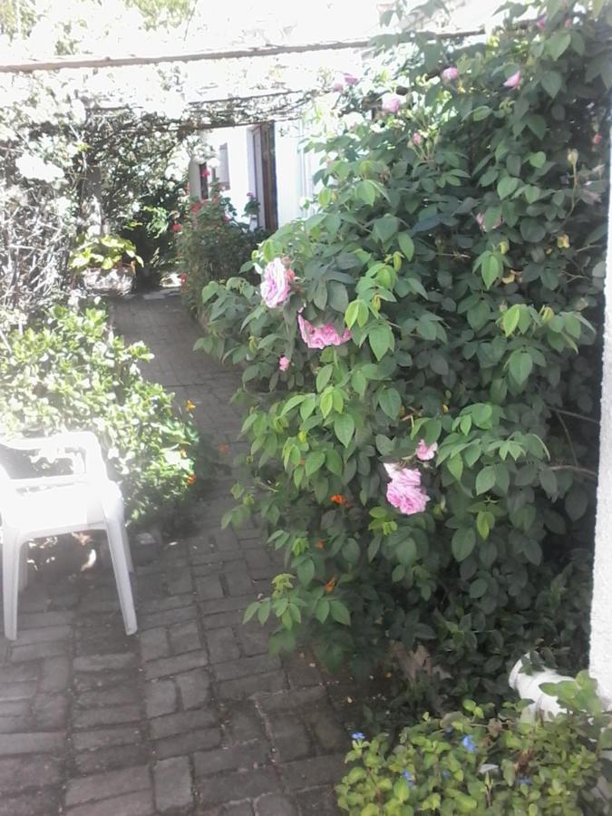 Self Catering Unit 7, Sandbaai Hermanus Εξωτερικό φωτογραφία