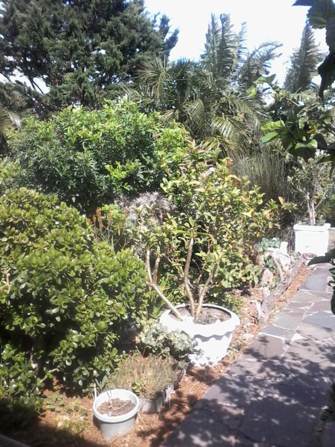 Self Catering Unit 7, Sandbaai Hermanus Εξωτερικό φωτογραφία